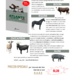 Sconto-RARE-Atlante razze autoctone