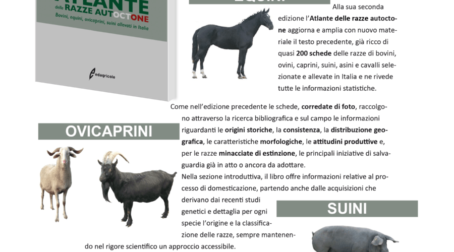 Sconto-RARE-Atlante razze autoctone