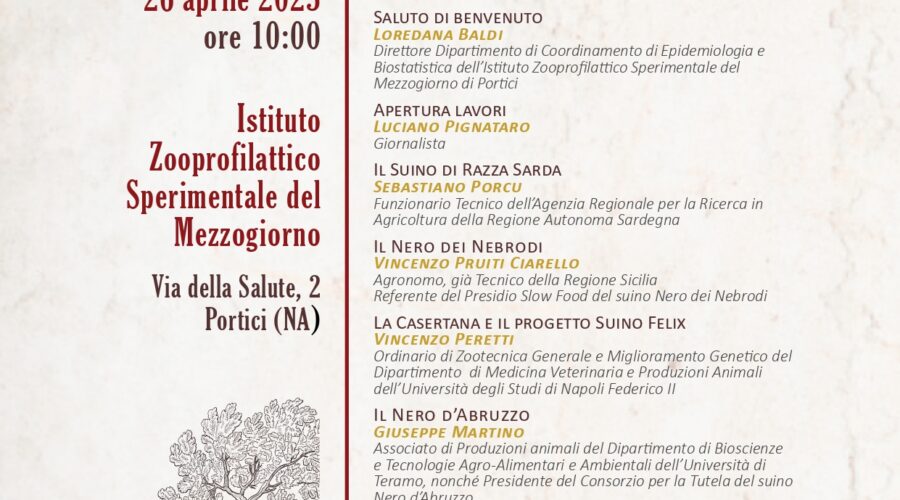 L’Istituto Zooprofilattico Sperimentale del Mezzogiorno di Portici sarà il prestigioso palcoscenico della conferenza dedicata al tema “Razze autoctone e valorizzazione delle produzioni norcine di eccellenza”, evento di rilievo che culminerà con la cerimonia conclusiva di Salumi Antichi, la prima rassegna nazionale interamente incentrata sui salumi ottenuti da razze suine autoctone.